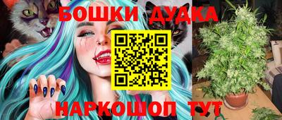 гидропоника Владимир