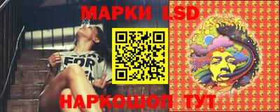 гидропоника Владимир