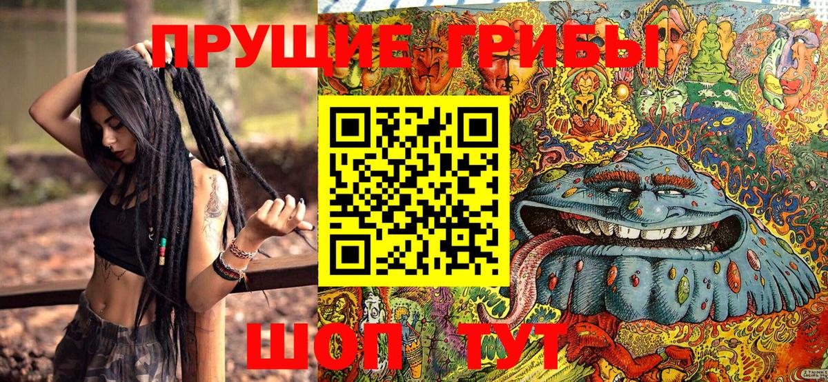как найти закладки  Вход с VPN  Солнечногорск  Псилоцибиновые грибы ЛСД  Галлюциногенные грибы GOLDEN TEACHER 