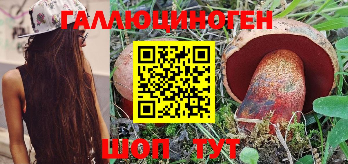 Галлюциногенные грибы GOLDEN TEACHER Солнечногорск