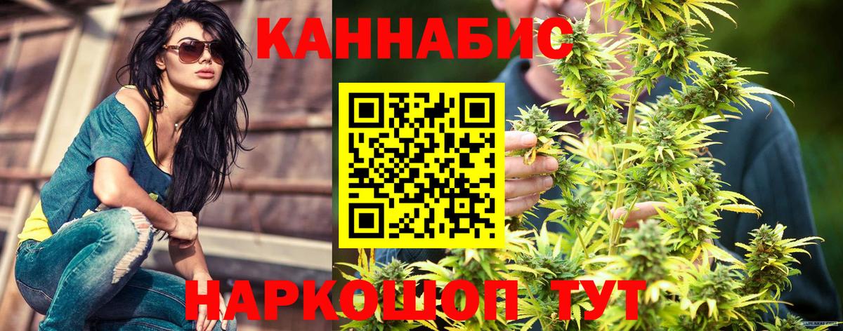 Конопля OG Kush Солнечногорск